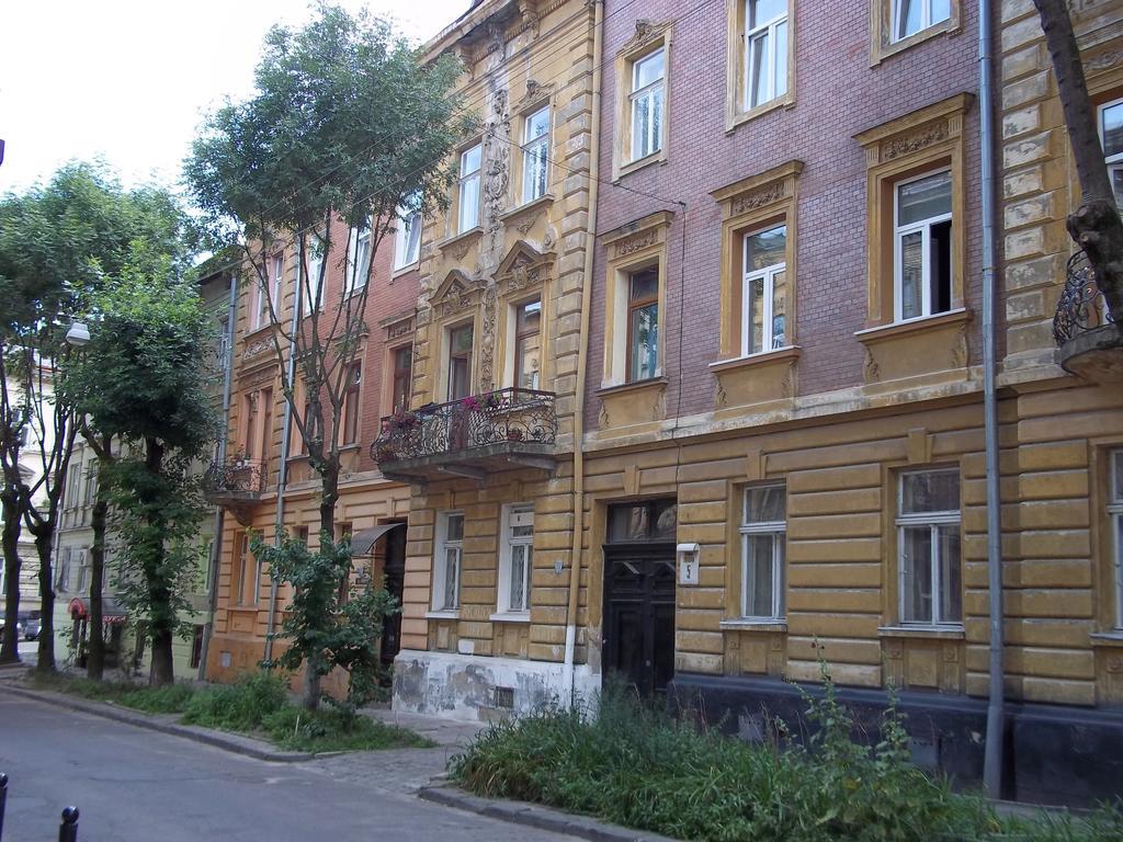 Near Citadel Apartment Lviv Bilik gambar
